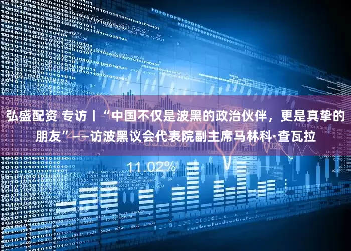 弘盛配资 专访丨“中国不仅是波黑的政治伙伴，更是真挚的朋友”——访波黑议会代表院副主席马林科·查瓦拉