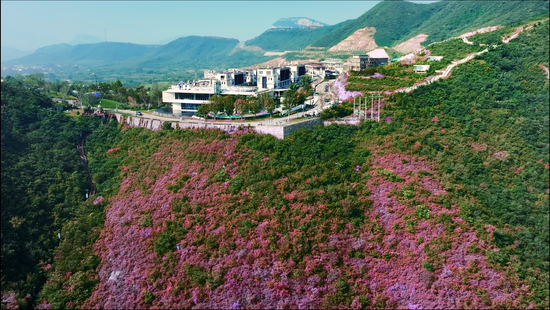 大牛证券港股 文旅体系+第四代住宅 远洋建管助力石家庄远洋观山代建项目破局