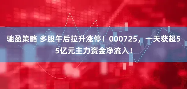 驰盈策略 多股午后拉升涨停！000725，一天获超55亿元主力资金净流入！